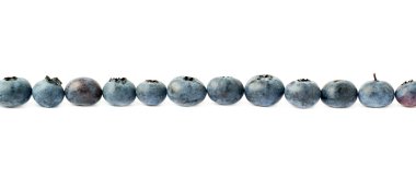 Bilberry veya yaban mersini izole beyaz arka plan üzerinde yapılmış çizgi