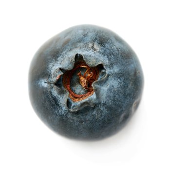 Bilberry veya blueberry izole beyaz arka plan üzerinde tek berry