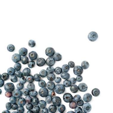 Bilberry veya izole beyaz arka plan üzerinde yaban mersini