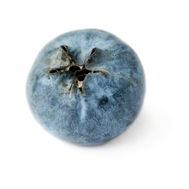 Bilberry veya blueberry izole beyaz arka plan üzerinde tek berry