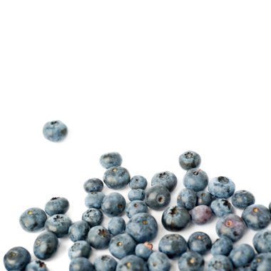 Bilberry veya blueberry izole beyaz arka plan üzerinde yığını