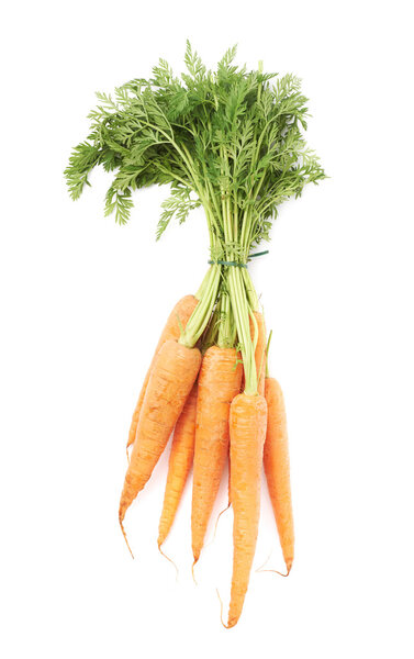 Bunch of carrot with the green top isolated over white background