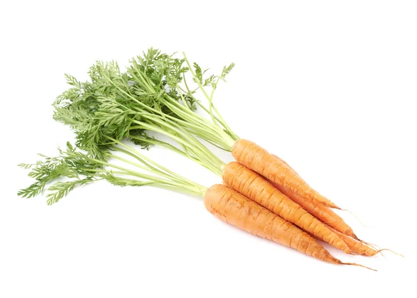 Bunch de cenoura com o topo verde isolado sobre fundo branco — Fotografia de Stock