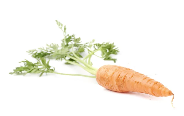 Wortel met de groene bovenkant geïsoleerd op witte achtergrond — Stockfoto