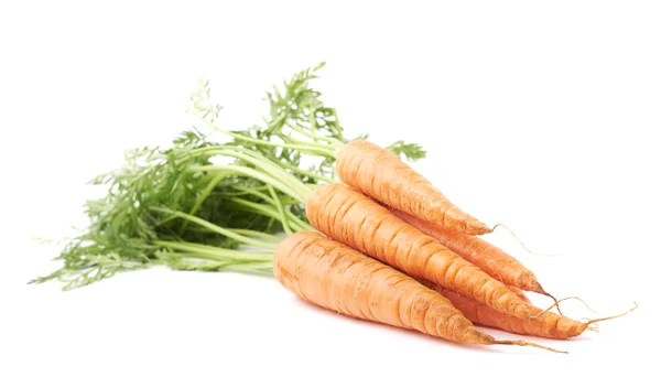 Букет моркви з зеленим верхом ізольовано на білому тлі — стокове фото