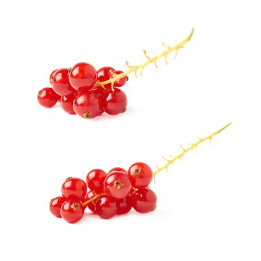 Kırmızı beyaz arka plan üzerinde izole üzümü kümesi