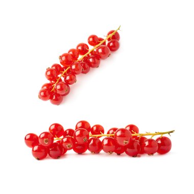 Kırmızı beyaz arka plan üzerinde izole üzümü kümesi