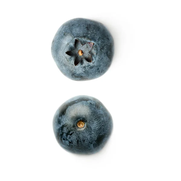 ビルベリーやブルーベリー分離の白い背景の上の単一のベリーのセット — ストック写真