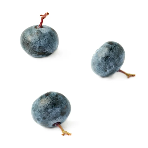 Σύνολο του ενιαίου berry μύρτιλλα ή βατόμουρου πέρα από το απομονωμένο λευκό φόντο — Φωτογραφία Αρχείου