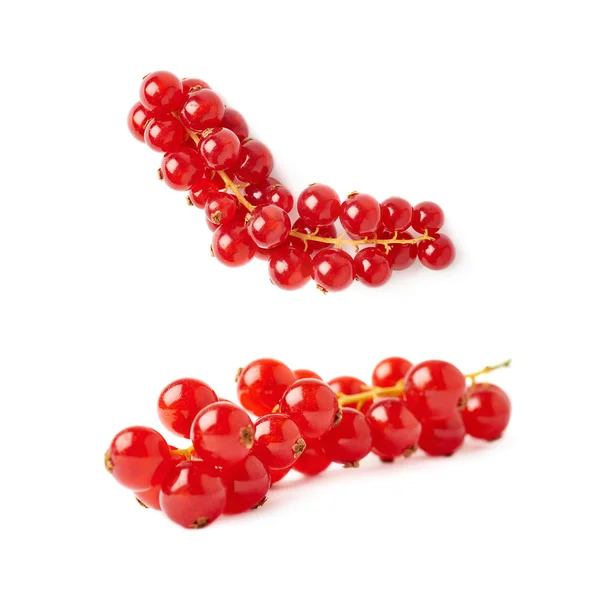 Set of Red Currant isolated over white background — Stock Photo, Image