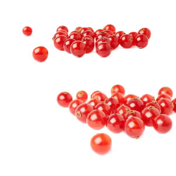 Red Currant isolated over white background — Stock Photo, Image