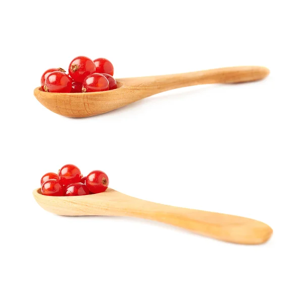 Set of Wooden spoon filled with Red Currant isolated over white background — Stock Photo, Image