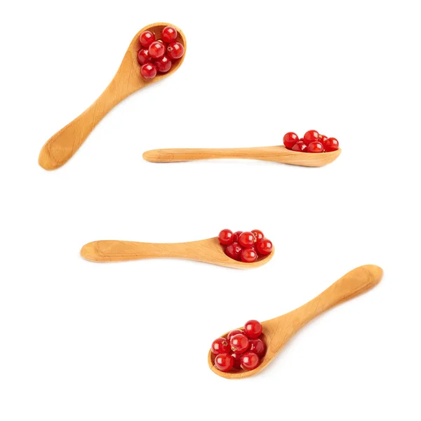 Set di cucchiai di legno riempito con ribes rosso isolato su sfondo bianco — Foto Stock