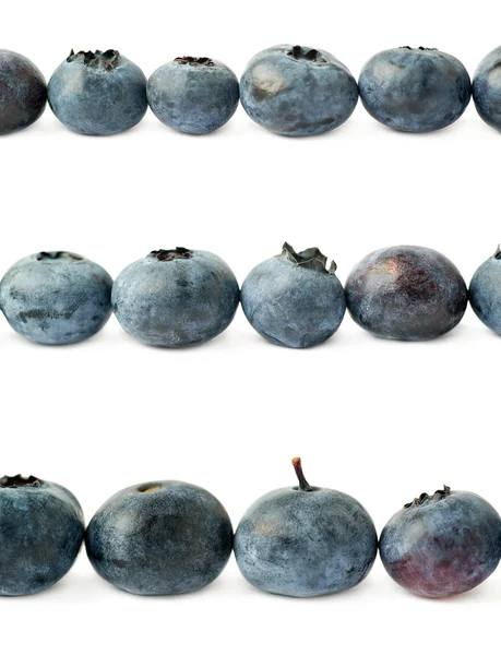 Line made of Bilberry or blueberry over isolated white background — Stock Photo, Image