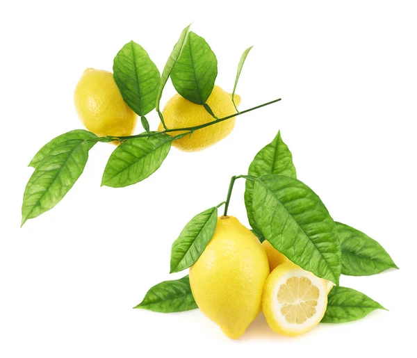 Composizione di limoni e foglie — Foto Stock