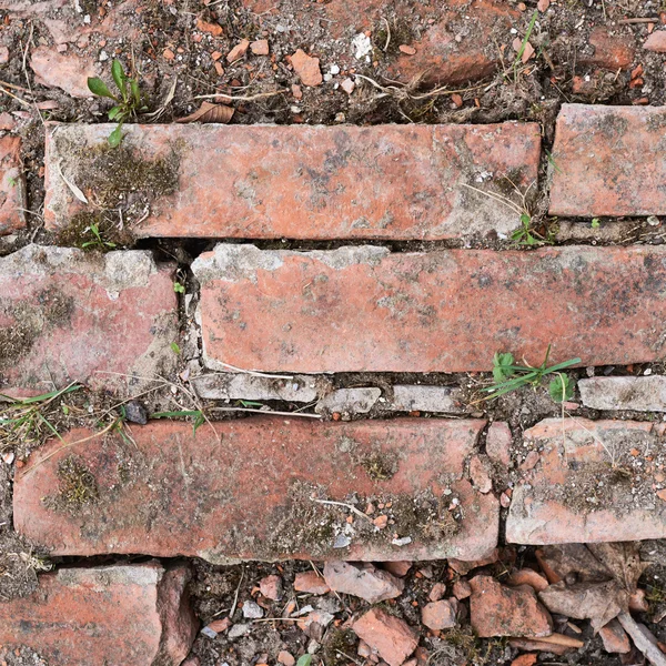 Vieux fragment de mur de brique rouge — Photo