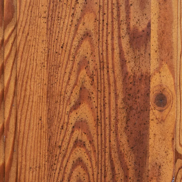 Fragmento de textura de madeira mofo — Fotografia de Stock