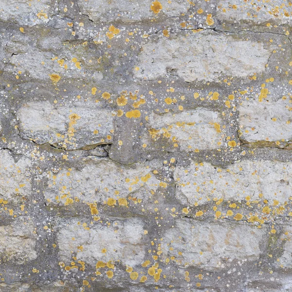 Fragment de mur du vieux château de briques — Photo