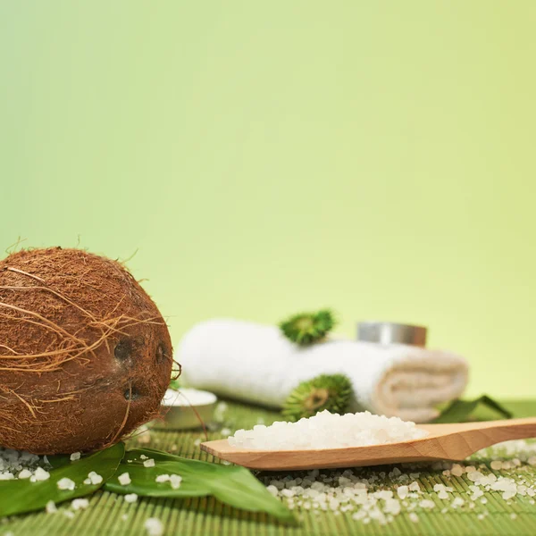 Coconut and salt composition — Stock Photo, Image