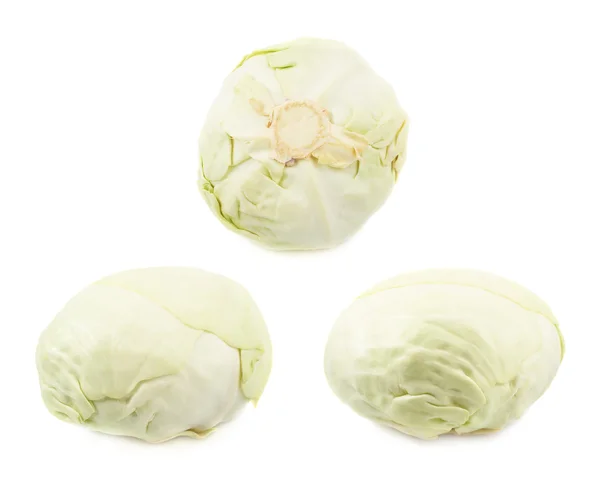 White cabbage — Stock Photo, Image