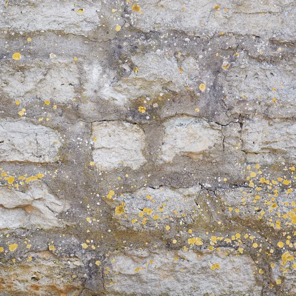 Стена кирпичного замка — стоковое фото