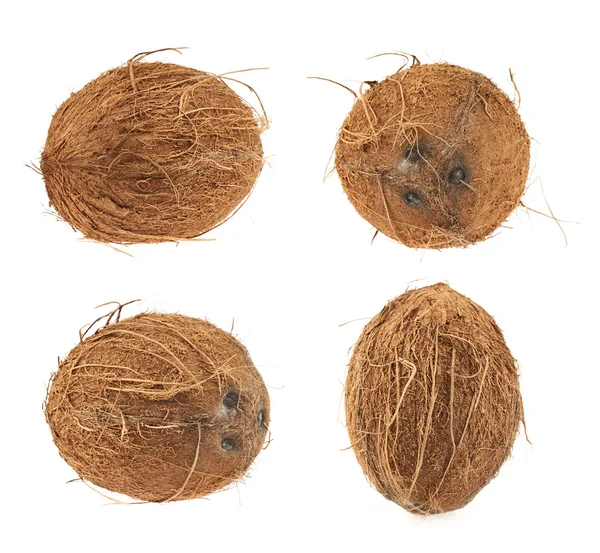 Fructe de nucă de cocos — Fotografie, imagine de stoc