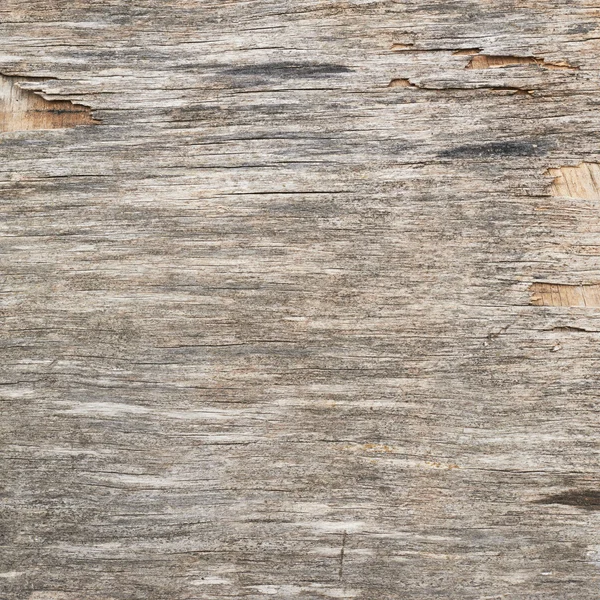 Gamla trä plywood — Stockfoto