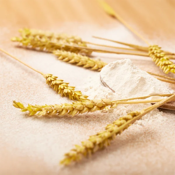 Wheat and flour — Stock Photo, Image