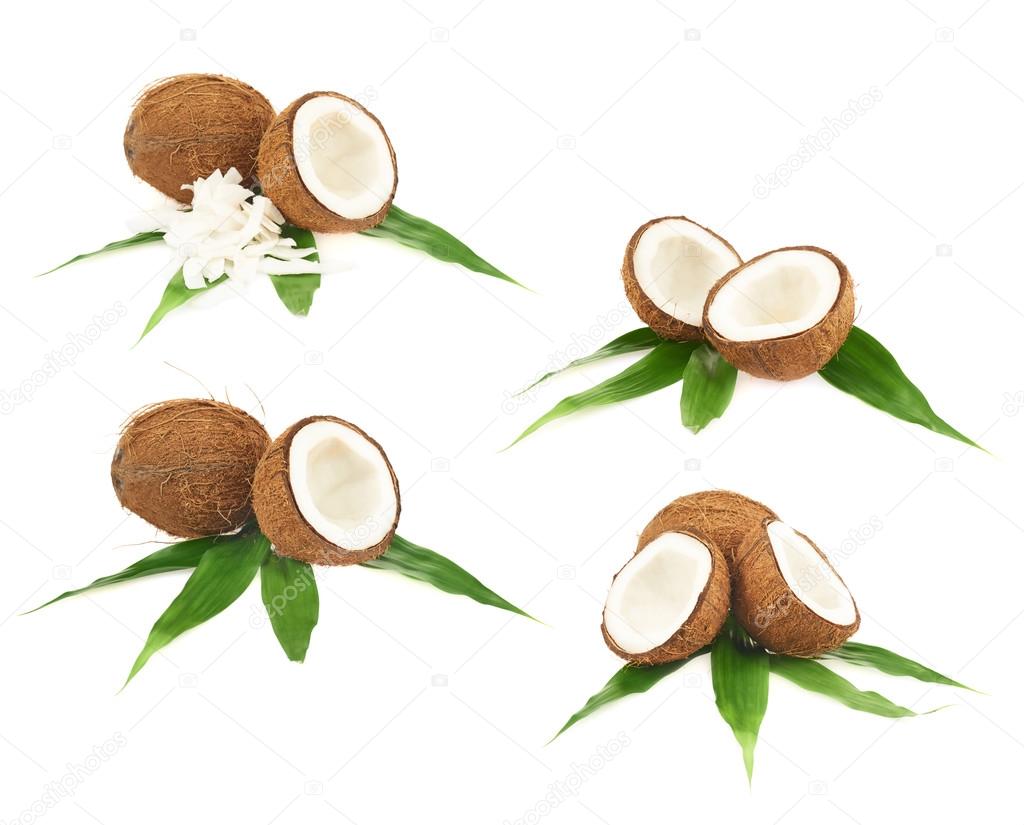 Coconuts and leaves