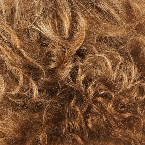 Fragmento de cabelo — Fotografia de Stock