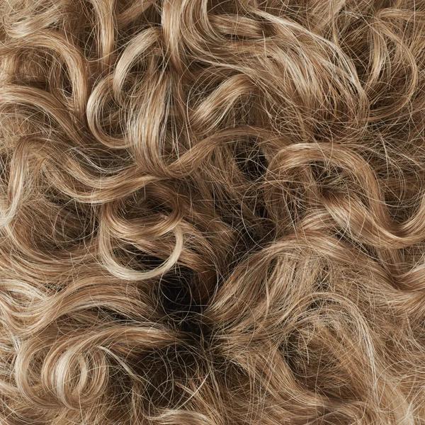 Fragmento de cabelo — Fotografia de Stock