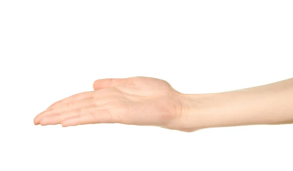 Gesture of opened palm — Stock Photo, Image