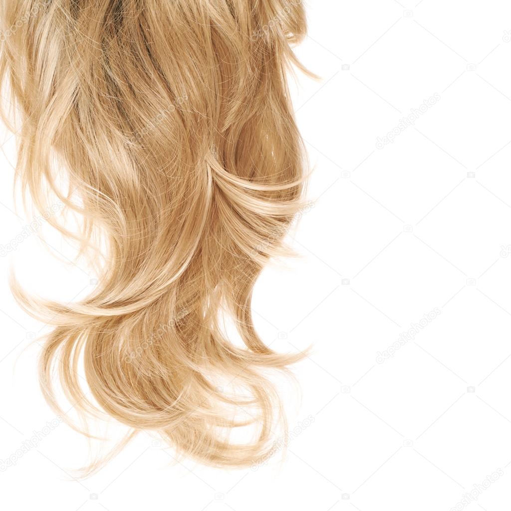 Hair fragment