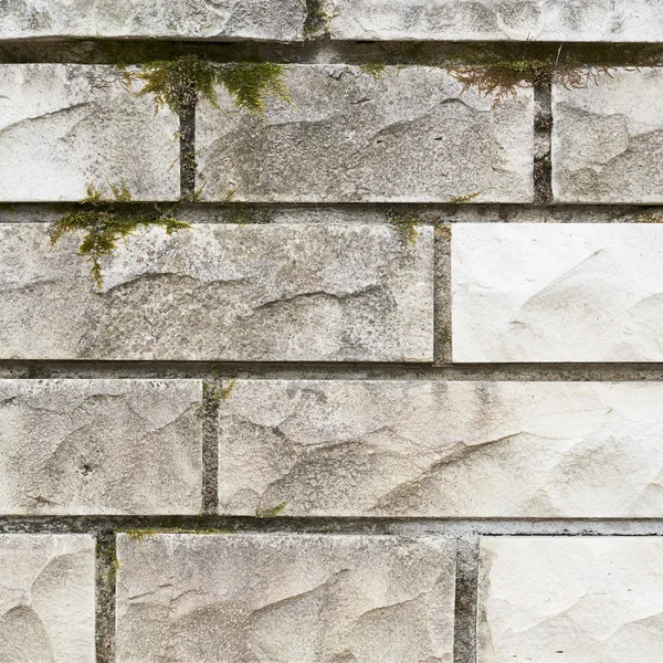 White limestone brick wall's fragment — Stock Photo, Image