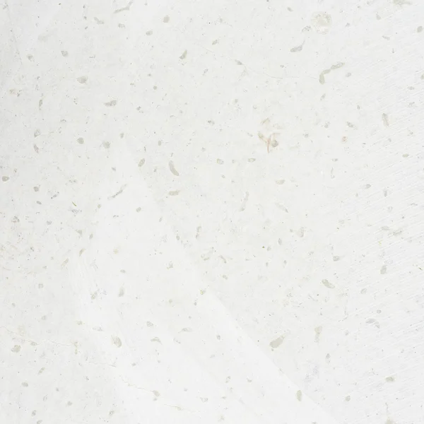 Polished limestone fragment — Stock Photo, Image
