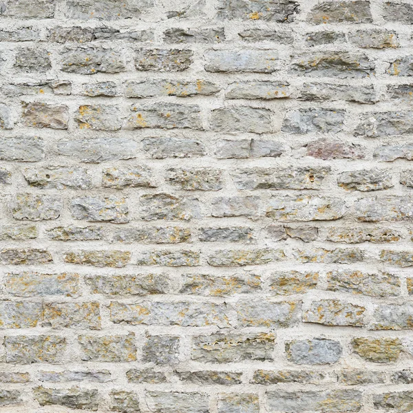 Old castle brick wall — Stock Photo, Image