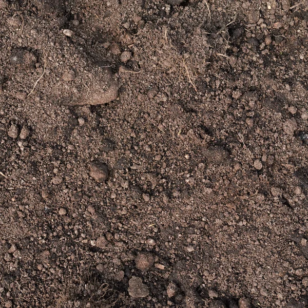 Fragment of earth soil texture — Stock Photo, Image