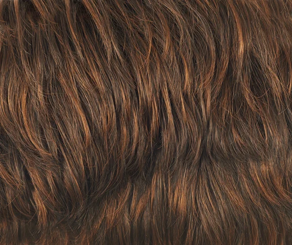 Fragmento de cabelo — Fotografia de Stock