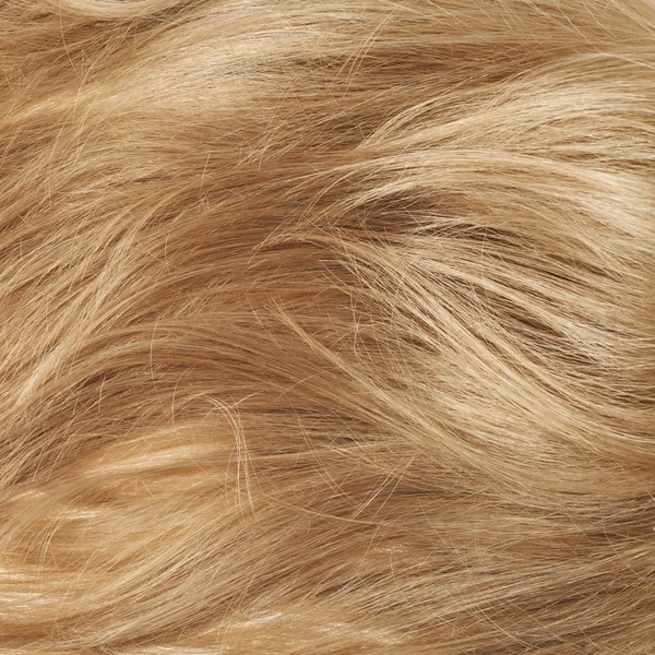 Fragmento de cabelo — Fotografia de Stock