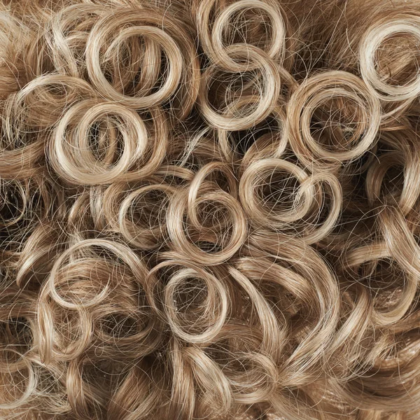 Θραύσμα μαλλιά — Φωτογραφία Αρχείου