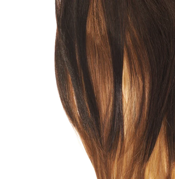 Hair fragment — Stock Photo, Image