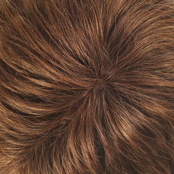 Hair fragment — Stock Photo, Image