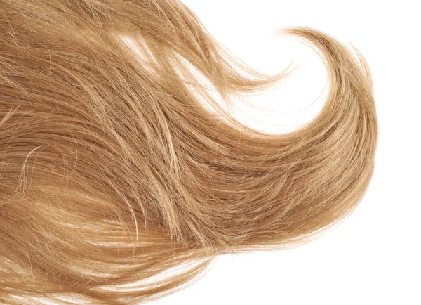 Fragmento de cabelo sobre o branco — Fotografia de Stock