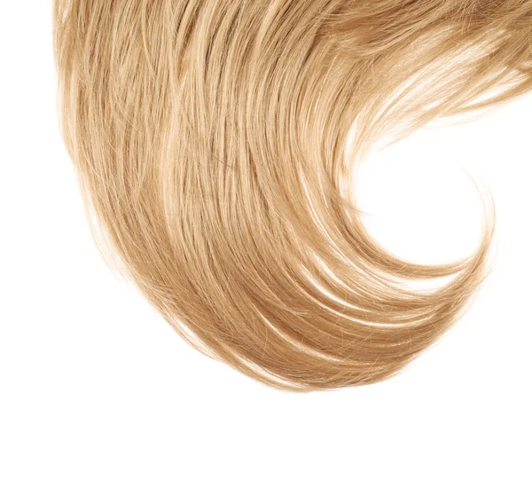 Fragmento de cabelo sobre o branco — Fotografia de Stock