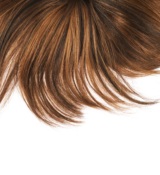 Hair fragment over the white — Stock Photo, Image