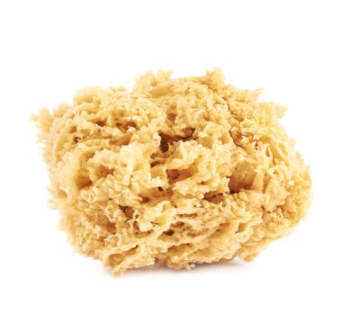 İzole sarı sanatsal Grout sünger