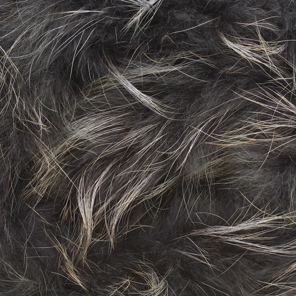 Texture grigio pelliccia — Foto Stock