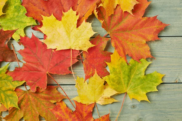 Maple leaves over the wooden boards — Stock Photo, Image