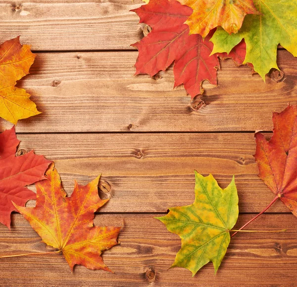 Maple laat over de houten planken — Stockfoto