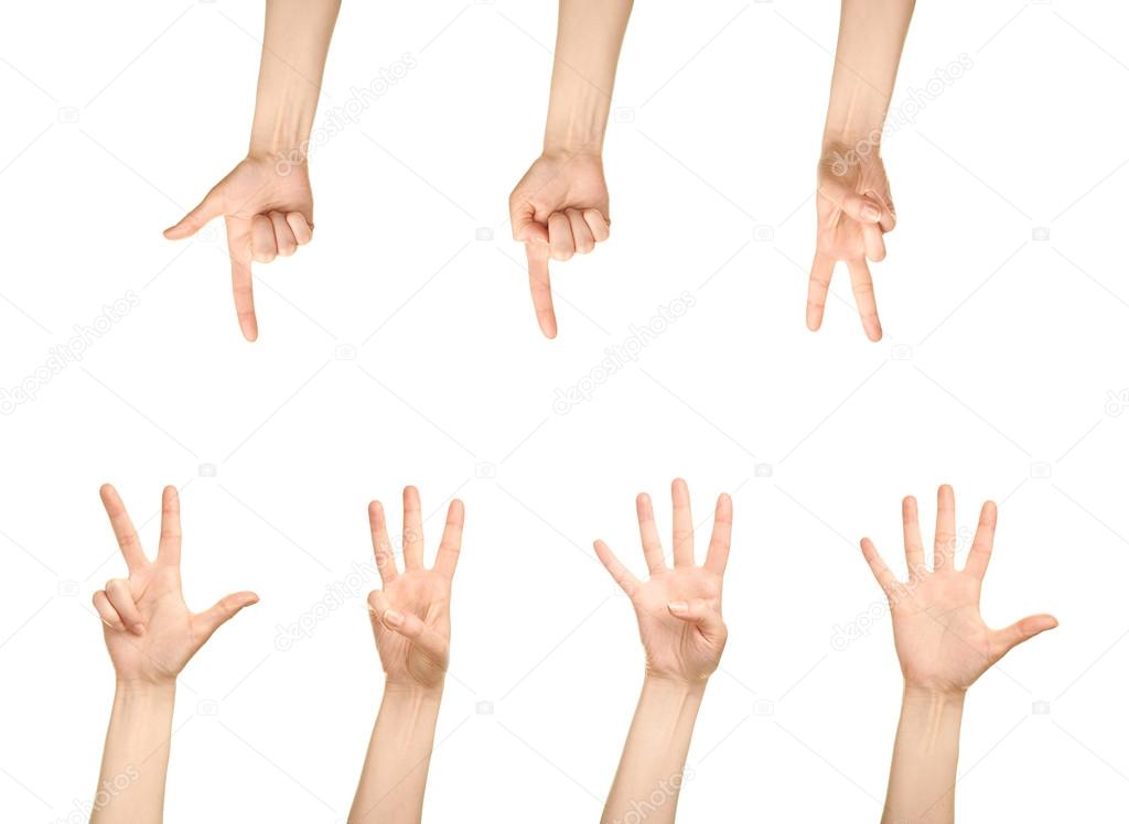 Numbers hand gestures